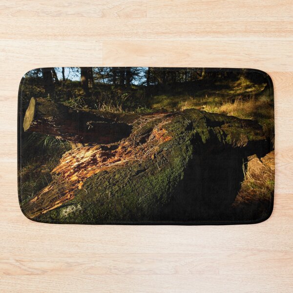 Item preview, Decaying tree trunk in woodland designed and sold by Stephen Jarman.