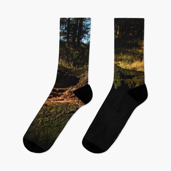 Item preview, Decaying tree trunk in woodland designed and sold by Stephen Jarman.