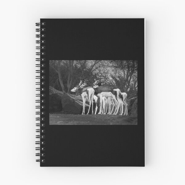 Item preview, Monochrome Gazelles - Wildlife in Black and White designed and sold by AbulailArt.