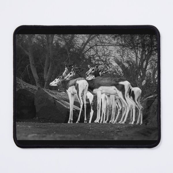 Item preview, Monochrome Gazelles - Wildlife in Black and White designed and sold by AbulailArt.