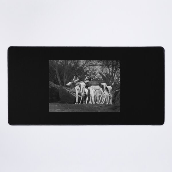 Item preview, Monochrome Gazelles - Wildlife in Black and White designed and sold by AbulailArt.