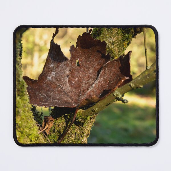 Item preview, Crisp dark brown leaf on mossy branch designed and sold by Stephen Jarman.