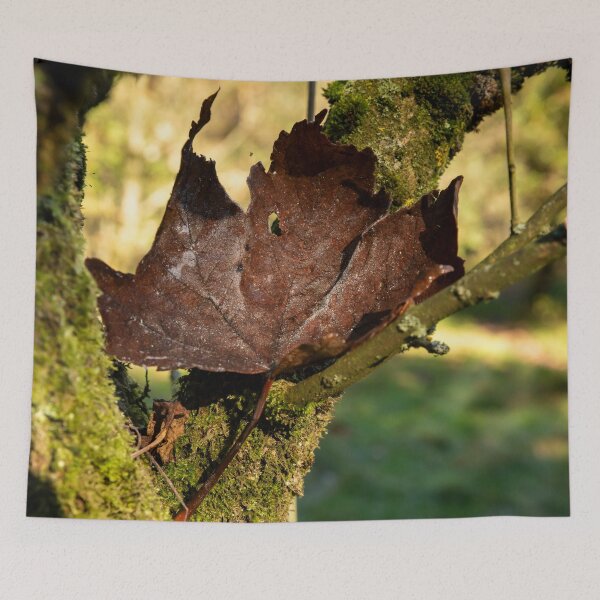 Item preview, Crisp dark brown leaf on mossy branch designed and sold by Stephen Jarman.