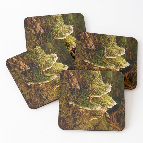 Item preview, Bracket fungi growing on mossy log designed and sold by Stephen Jarman.