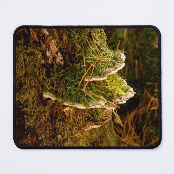 Item preview, Bracket fungi growing on mossy log designed and sold by Stephen Jarman.
