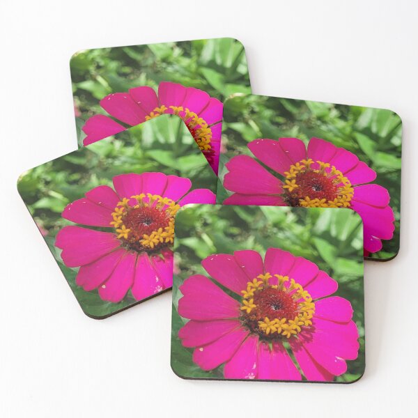 Item preview, Bright Parallel 49 Brewing Pink Zinnia Bloom designed and sold by apiolands.