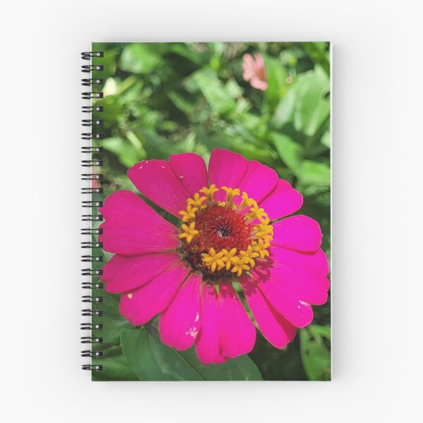 Item preview, Bright Parallel 49 Brewing Pink Zinnia Bloom designed and sold by apiolands.
