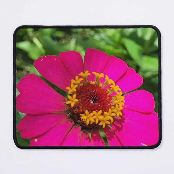 Item preview, Bright Parallel 49 Brewing Pink Zinnia Bloom designed and sold by apiolands.