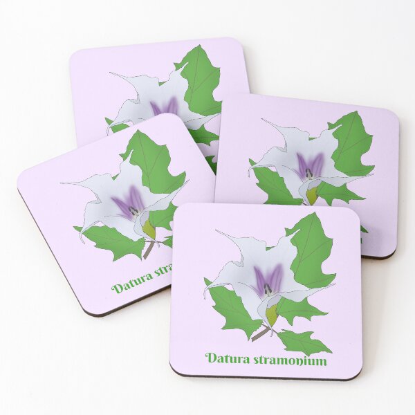 Item preview, Datura stramonium(jimsonweed) designed and sold by Floralfusion.