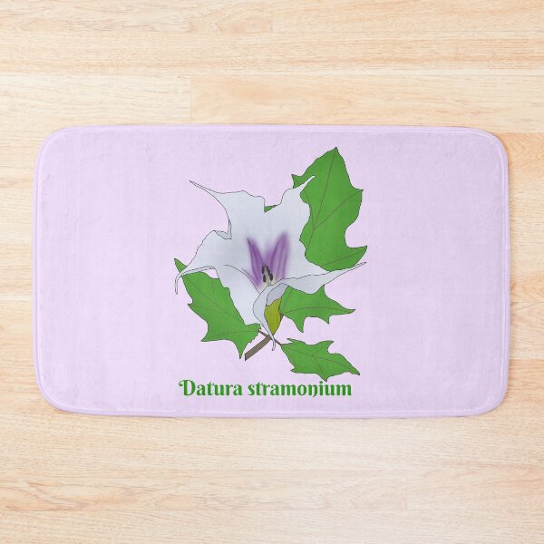 Item preview, Datura stramonium(jimsonweed) designed and sold by Floralfusion.