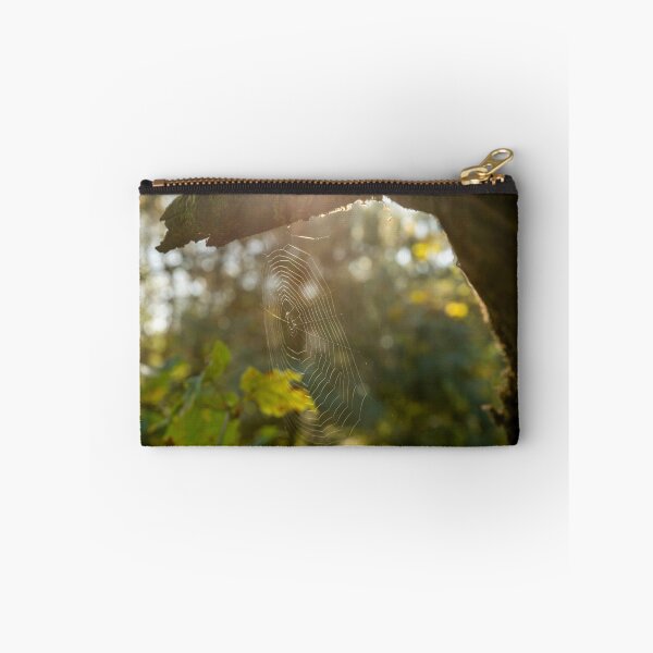 Item preview, Spider web between tree branches designed and sold by Stephen Jarman.