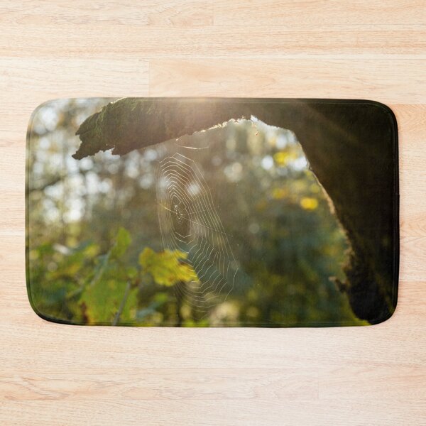 Item preview, Spider web between tree branches designed and sold by Stephen Jarman.
