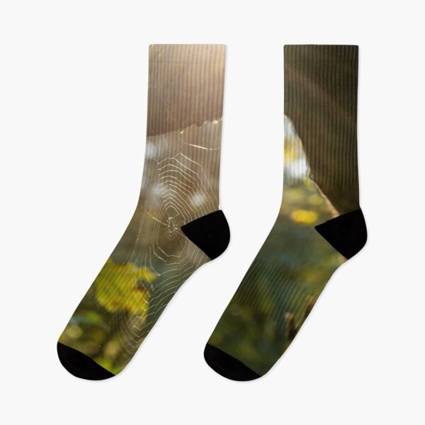 Item preview, Spider web between tree branches designed and sold by Stephen Jarman.
