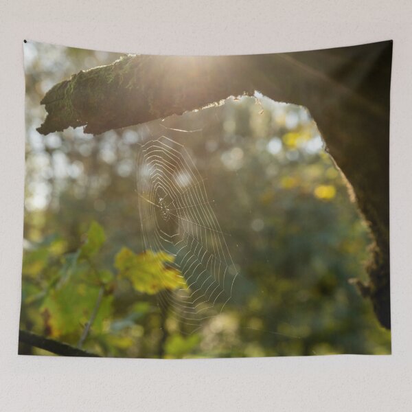 Item preview, Spider web between tree branches designed and sold by Stephen Jarman.