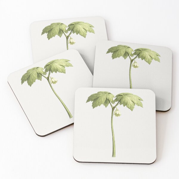 Item preview, Mayapple – Woodland Botanical Specimen designed and sold by Ombrya.