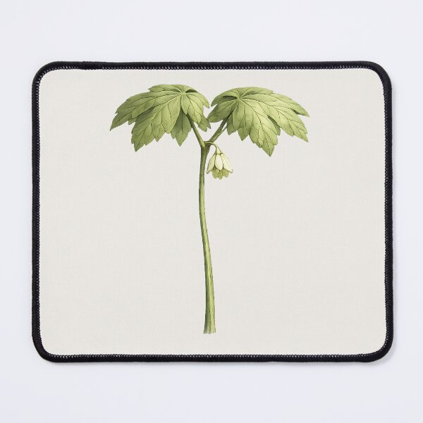 Item preview, Mayapple – Woodland Botanical Specimen designed and sold by Ombrya.