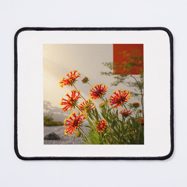 Item preview, Minimalist Fire in Bloom , Gaillardia Fanfare in Harmony #6 designed and sold by Helios Be. Lavsh.