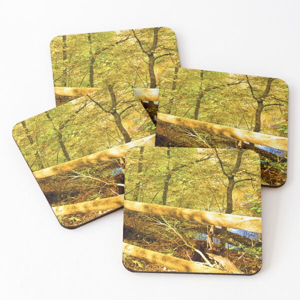 Item preview, Wooden Fence Along a Forest Trail in Early Autumn, Pennypack Park, Philadelphia, Pennsylvania designed and sold by AMacGPhilly.