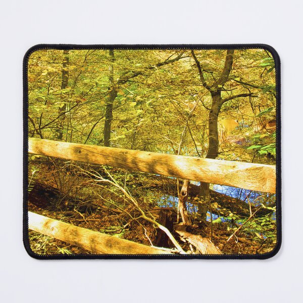 Item preview, Wooden Fence Along a Forest Trail in Early Autumn, Pennypack Park, Philadelphia, Pennsylvania designed and sold by AMacGPhilly.