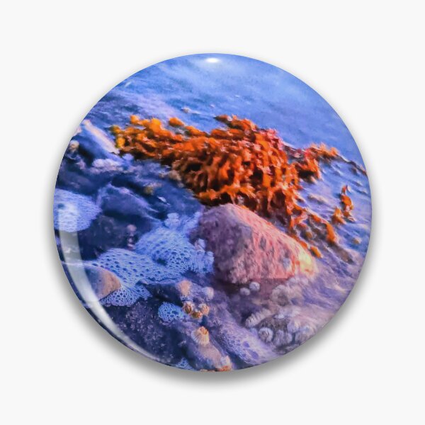 Item preview, Seaside  designed and sold by Laree  Jones.