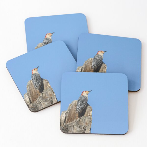 Item preview, Red-bellied Woodpecker 4-05-2026 designed and sold by Thomasyoung.