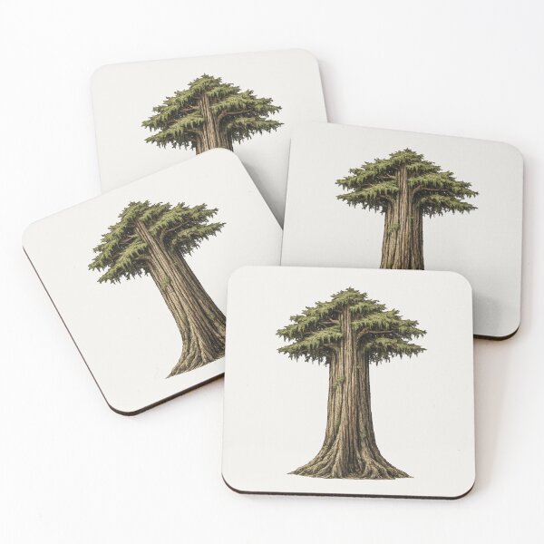 Item preview, Western Redcedar – Old Growth Tree Illustration designed and sold by Ombrya.