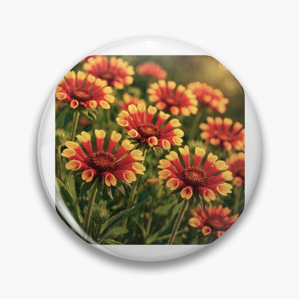 Item preview, Minimalist Fire in Bloom , Gaillardia Fanfare in Harmony #9 designed and sold by Helios Be. Lavsh.