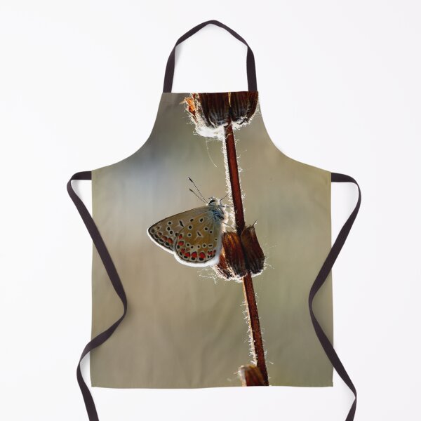 Item preview, Butterfly on Dry Plant Minimal Macro designed and sold by onubi.