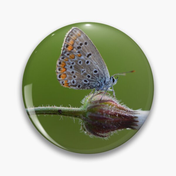 Item preview, Delicate Butterfly on Wild Flower Macro designed and sold by onubi.