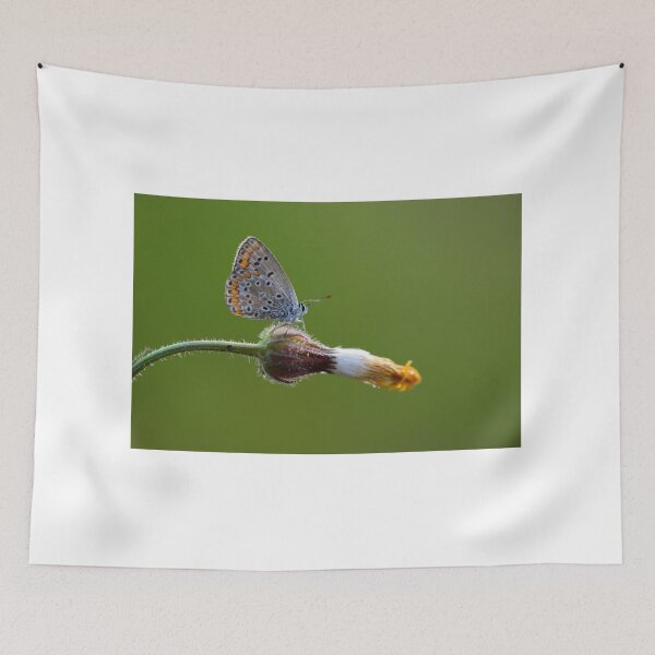 Item preview, Delicate Butterfly on Wild Flower Macro designed and sold by onubi.
