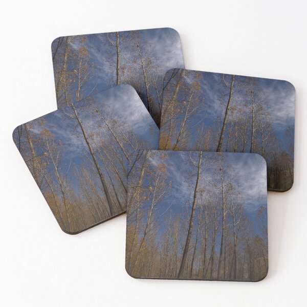 Item preview, Tall Trees in Autumn Forest – Minimal Nature Landscape designed and sold by onubi.