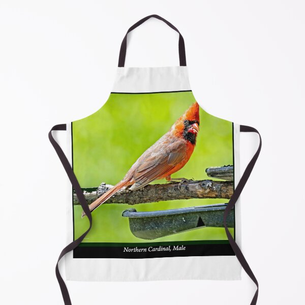 Item preview, Northern Cardinal Male Perched on Branch Above a Feeder designed and sold by AMacGPhilly.