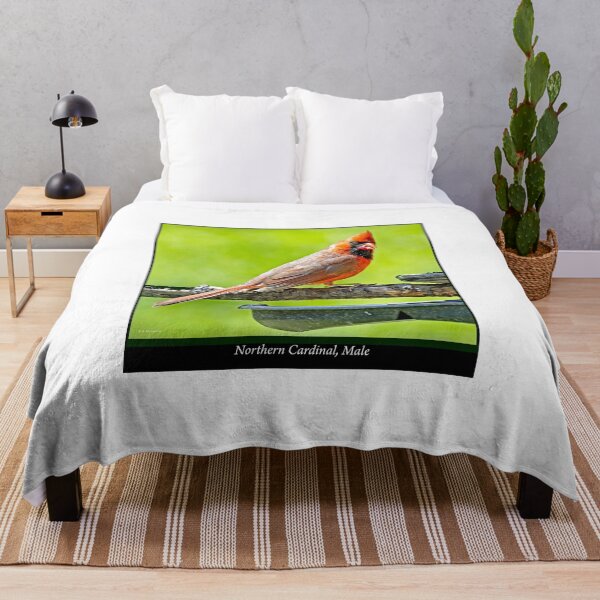 Item preview, Northern Cardinal Male Perched on Branch Above a Feeder designed and sold by AMacGPhilly.