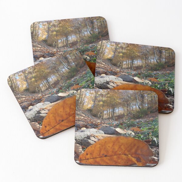 Item preview, Autumn Forest Floor – Fallen Leaf Close Up Perspective designed and sold by onubi.