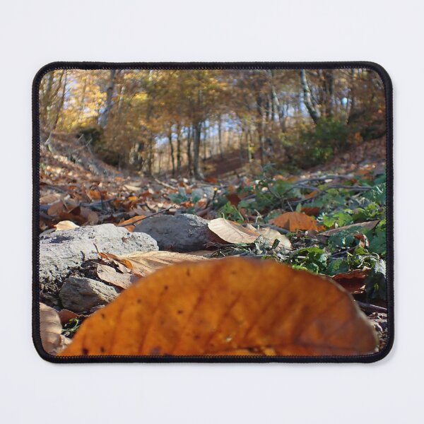 Item preview, Autumn Forest Floor – Fallen Leaf Close Up Perspective designed and sold by onubi.