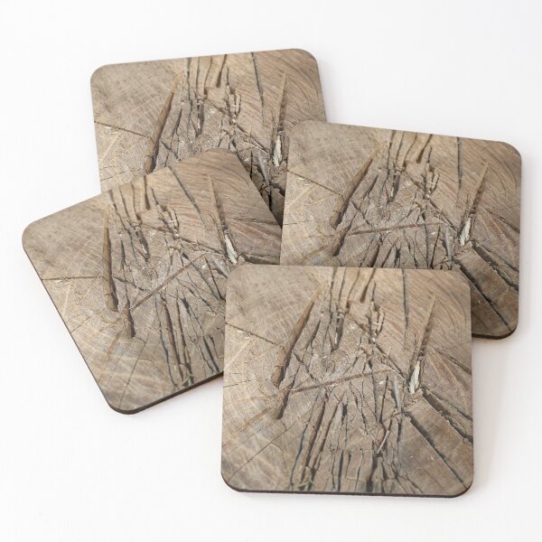 Item preview, Wood design  designed and sold by McFleur's Lens.