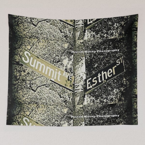 Item preview, Summit Avenue & Esther Street, Pasadena, California by Mistah Wilson designed and sold by The Street Sign Store.