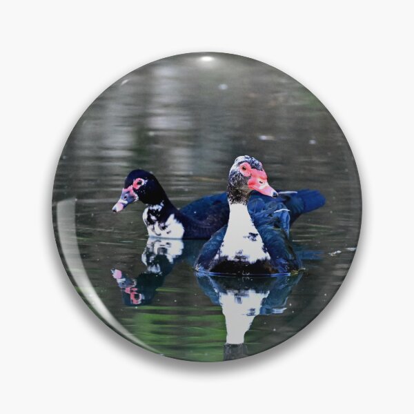 Item preview, Morning Swim  designed and sold by Glennphotos.
