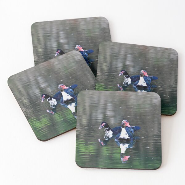 Item preview, Morning Swim  designed and sold by Glennphotos.