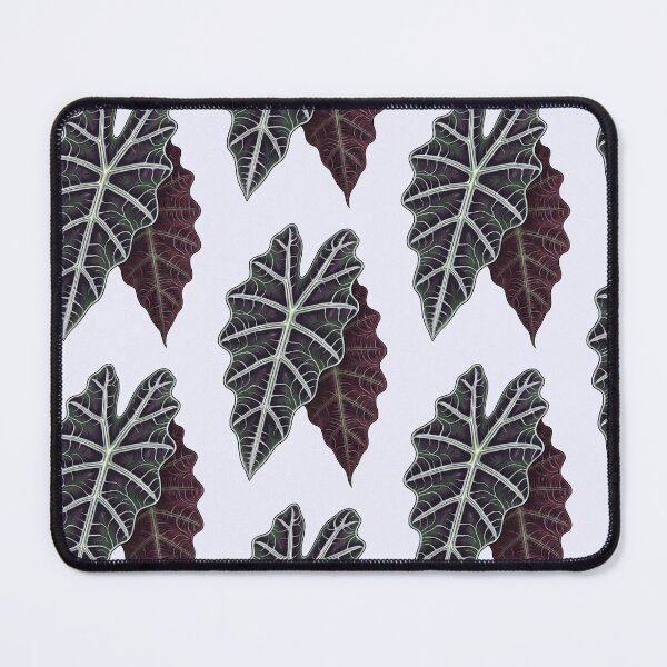 Item preview, Alocasia x amazonica (African Mask Plant) Leaves designed and sold by MessyHandsCo.