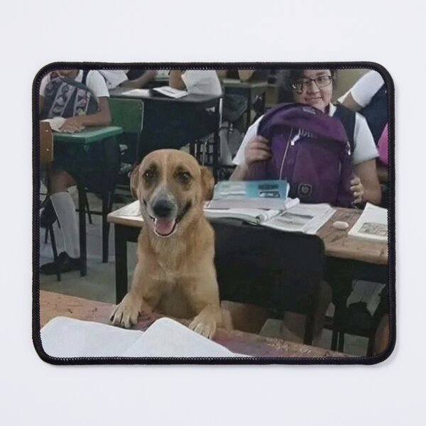 Item preview, Dog sits on desk in classroom meme designed and sold by AnimeHentaiArt.