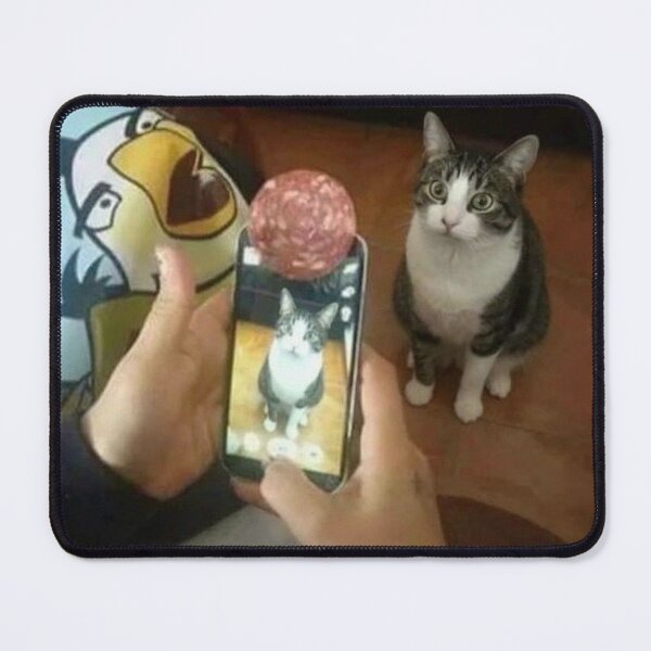 Item preview, Cat looks at phone with picture of itself meme designed and sold by AnimeHentaiArt.