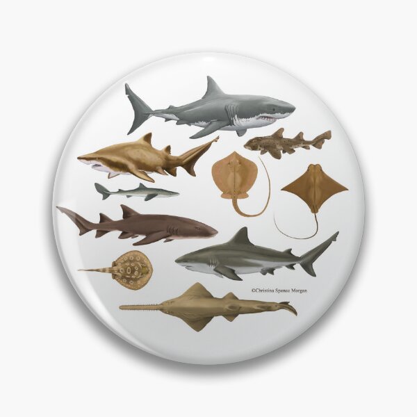 Item preview, Sharks And Rays - white background designed and sold by ChristinaSeas.