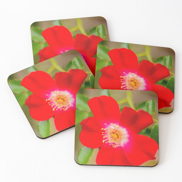 Item preview, Vivid red and green contrast | The beauty of colors created by nature designed and sold by clipboxjp.