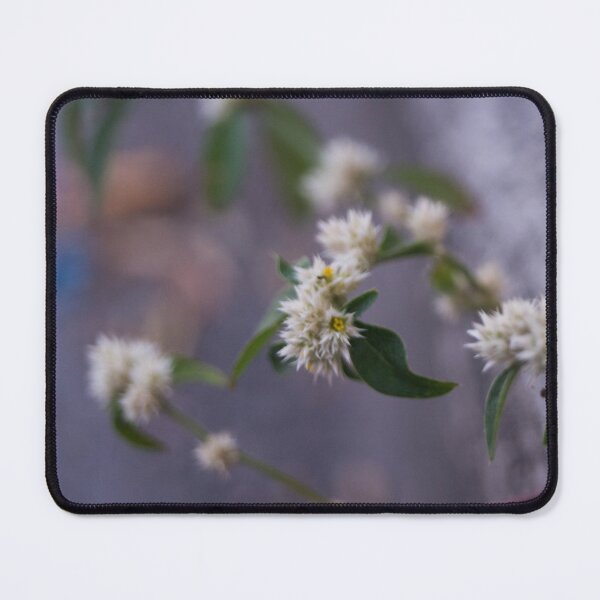 Item preview, sessile joyweed or dwarf copperleaf designed and sold by ROSE ANN BANILAR.