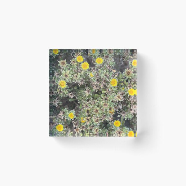 Item preview, yellow flowers designed and sold by marbellousart.