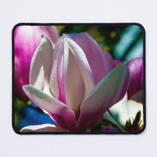 Item preview, Whispers of Early Spring | Magnolia Flower Photography designed and sold by DrTol.