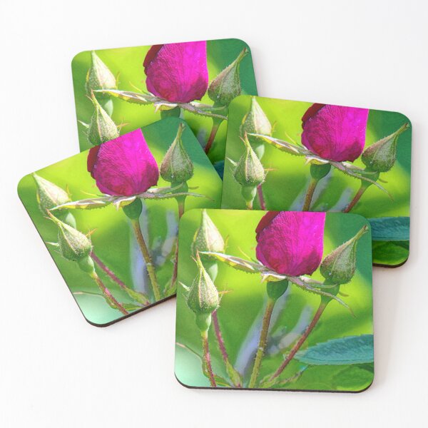 Item preview, Rose Bud About to Open with Others to Follow designed and sold by AMacGPhilly.
