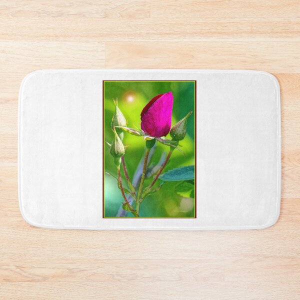 Item preview, Rose Bud About to Open with Others to Follow designed and sold by AMacGPhilly.