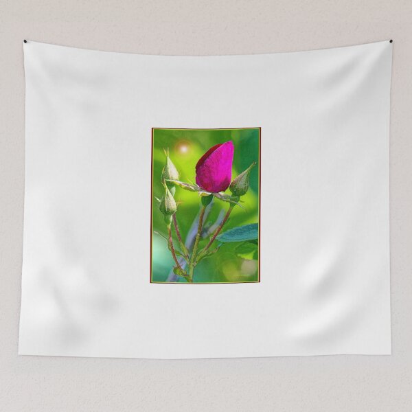 Item preview, Rose Bud About to Open with Others to Follow designed and sold by AMacGPhilly.